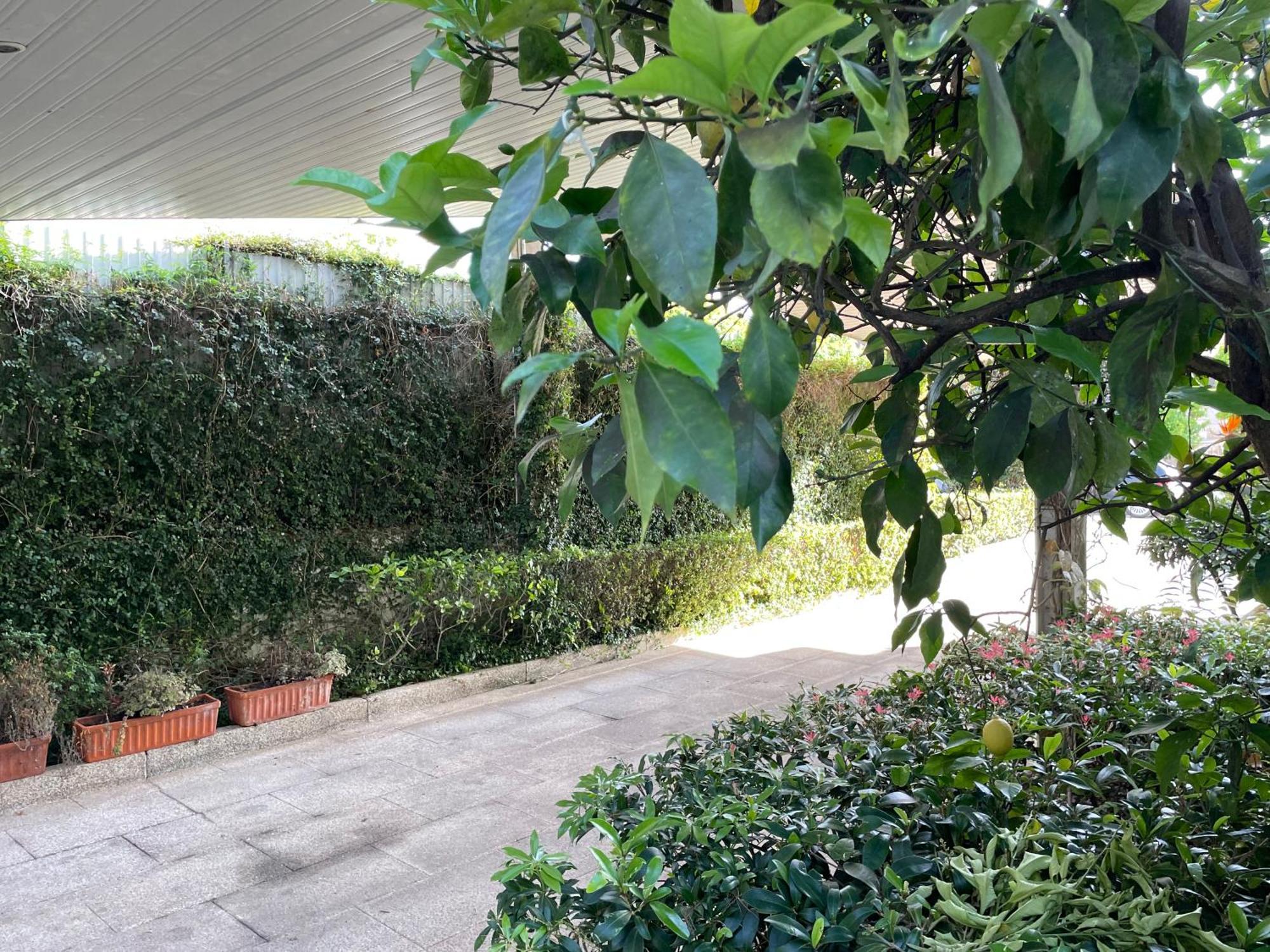 ギマランイス Casa Do Pacoヴィラ エクステリア 写真